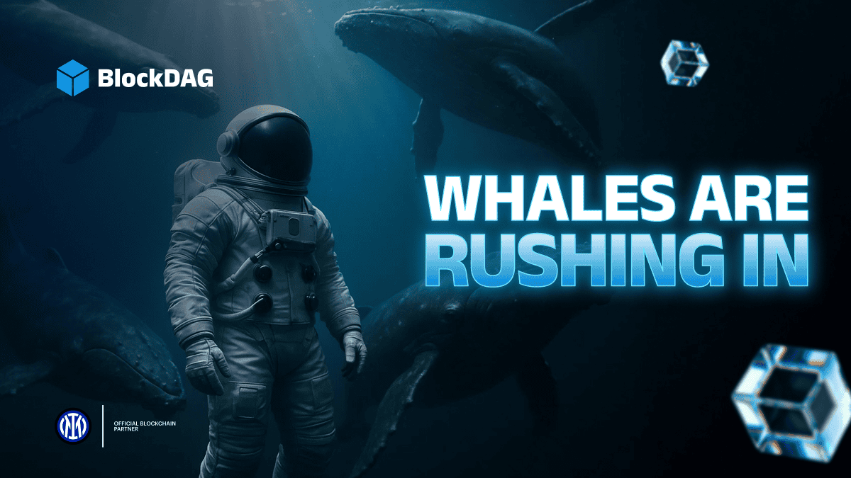 HexyDog vs BlockDAG Buyer Battles: Where Are Whales Currently Feeding?