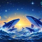 Bitcoin Whales Accumulate $23B in BTC Amid Market Lull