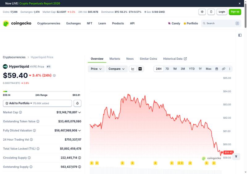 Hyperliquid HYPE 24-hour price chart showing pullback from $63.81 ATH to $59.40 with profit-taking upper wicks